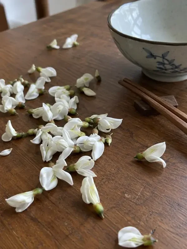 槐花落在饭桌上海报 - 韩国影院电影片单